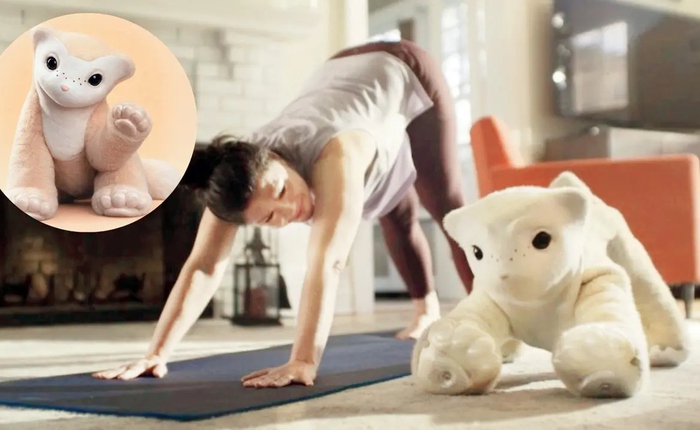 “Cha đẻ robot hút bụi” quay lại khởi nghiệp: Tạo ra một “thú cưng cyber” hiểu cảm xúc con người