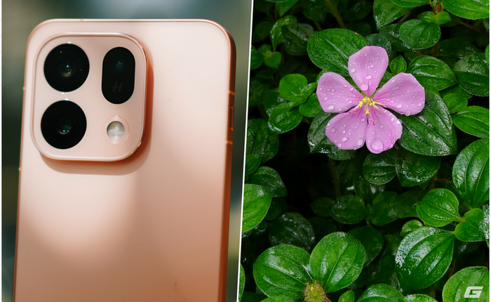 Đắm mình giữa không gian xanh của Vườn Bách thảo Singapore với OPPO Find X9s trên tay: Thì ra bình yên là đây