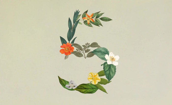 Anthropic ra mắt Claude Sonnet 5: Ngang ngửa Opus 4.8 nhưng giá chỉ bằng một nửa