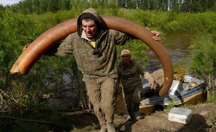 Bí ẩn rùng rợn đằng sau cơn sốt săn lùng xác voi ma mút Siberia