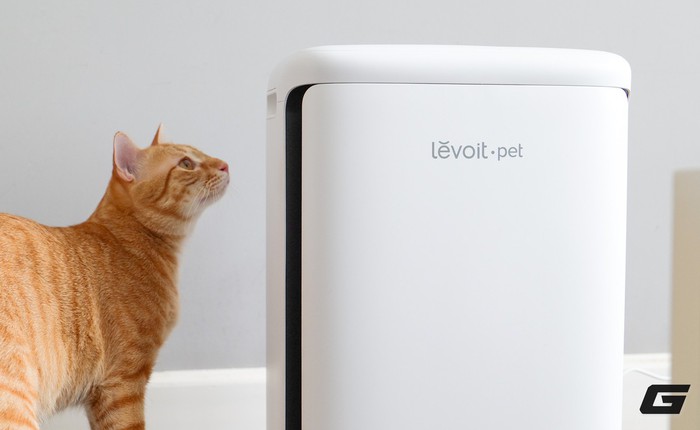 Trải nghiệm Levoit Vital Pet Pro: Máy lọc không khí cần có cho hội con sen yêu boss lắm lông