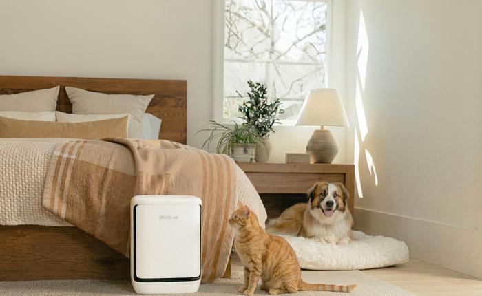 Levoit Vital Pet Pro ra mắt tại Việt Nam: Máy lọc không khí tự “gom” lông thú, xử lý cả mùi hôi