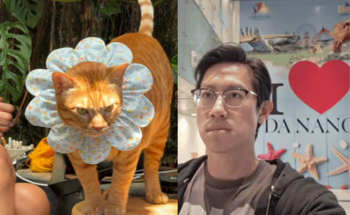 Một chú mèo ở quán cà phê Đà Nẵng bất ngờ thành “ngôi sao” quốc tế, khách Tây đua nhau bay qua Việt Nam để gặp