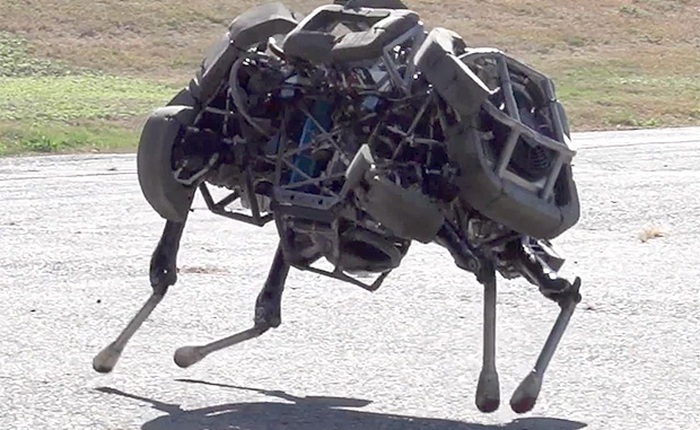 Boston Dynamics ra mắt robot WildCat mới với tốc độ siêu nhanh