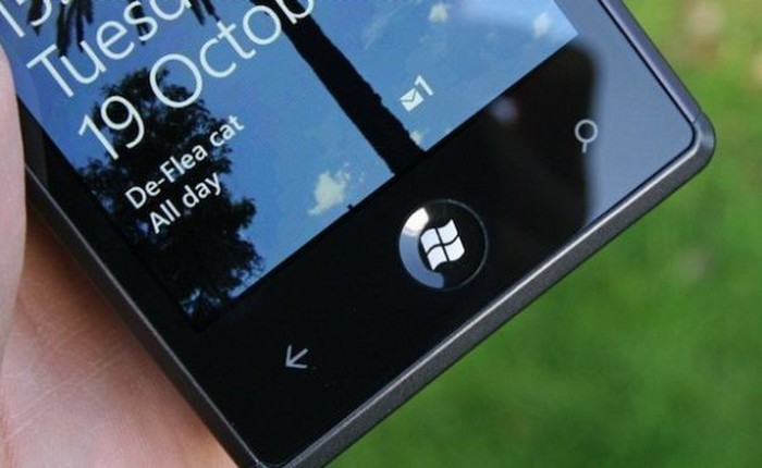 LG đang phát triển cả smartphone Windows Phone 8.1 và 9