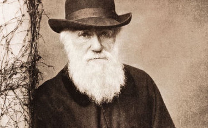 Khám phá cuộc đời thú vị của nhà bác học Charles Darwin (Phần II)