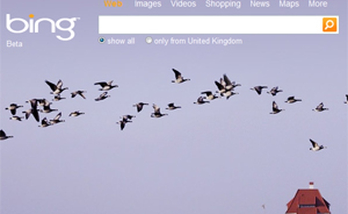 Bing Search hiển thị lời bài hát ngay tại trang tìm kiếm