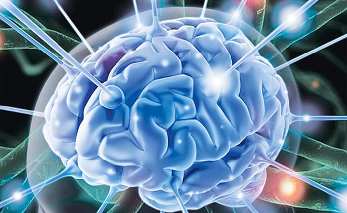 Các nhà khoa học có thể đọc được trí não con người