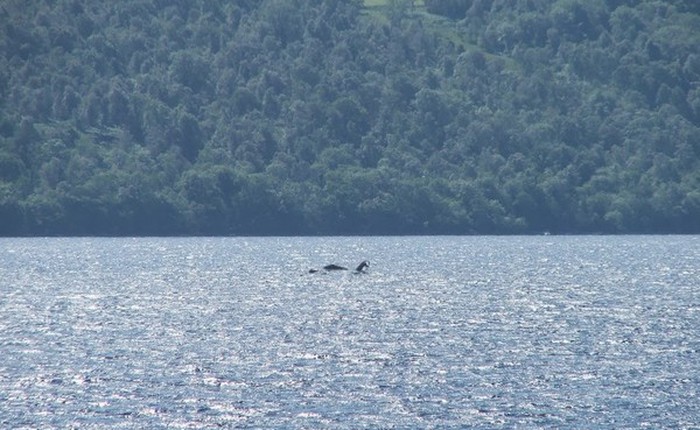 Đi tìm tung tích thật của quái vật hồ Loch Ness