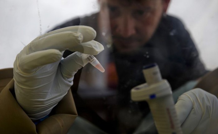 Virus Ebola: Vì sao chưa có thuốc chữa?
