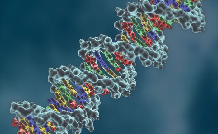 Công nghệ biến đổi gen sẽ có khả năng loại bỏ virus HIV
