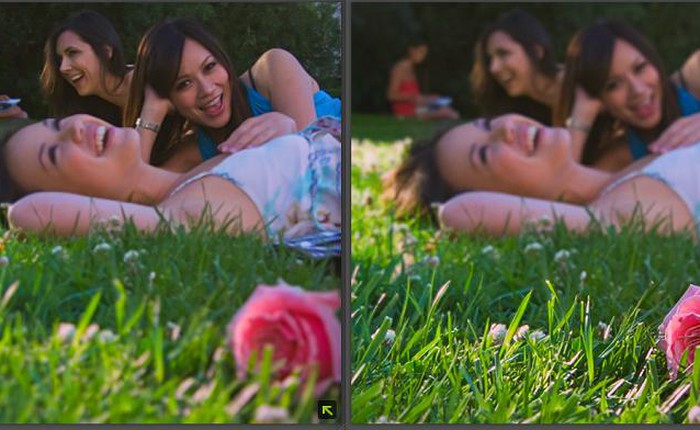 Ứng dụng "chụp trước, lấy nét sau" của Nokia ra mắt cho toàn bộ máy Lumia