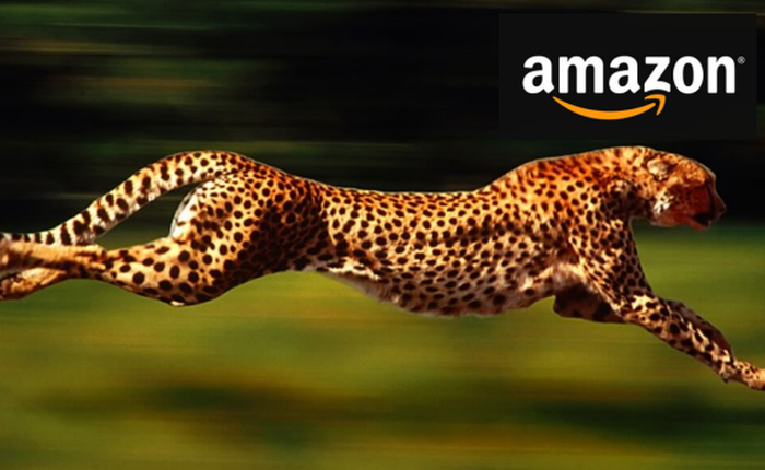 5 'móng vuốt sắc nhọn' mà Jeff Bezos tạo nên 'con báo' Amazon
