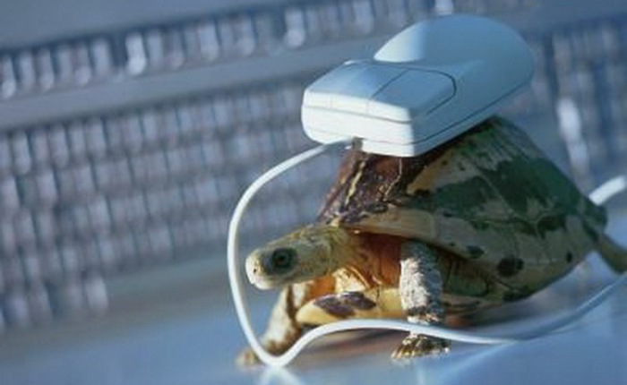 Có tới 2,3 triệu người Mỹ vẫn dùng mạng dial-up tốc độ "rùa bò"