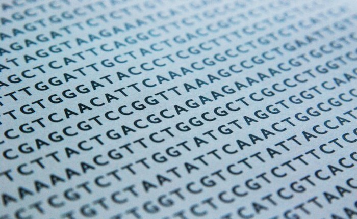 Các nhà khoa học tìm ra cách thay đổi bộ gen ở người