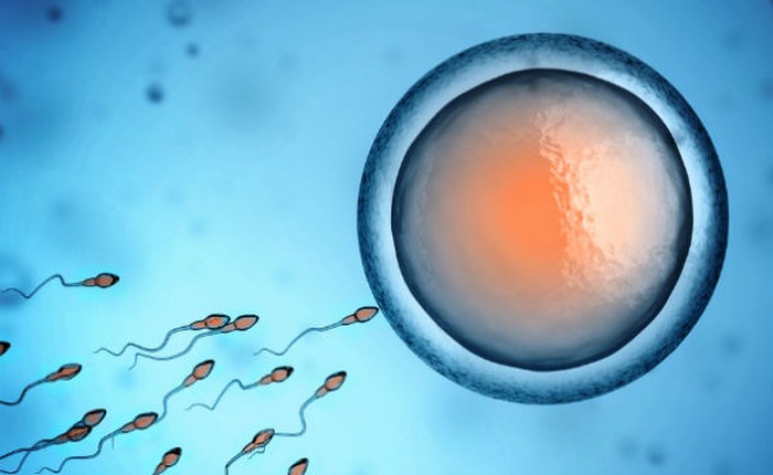 Các nhà khoa học muốn đóng mã vạch lên tế bào tinh trùng và trứng
