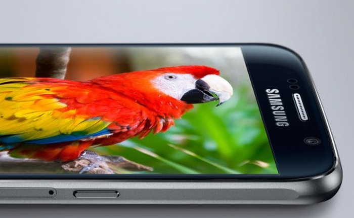 Thị trường màn hình AMOLED tăng trưởng mạnh, Samsung chiếm 95,8%