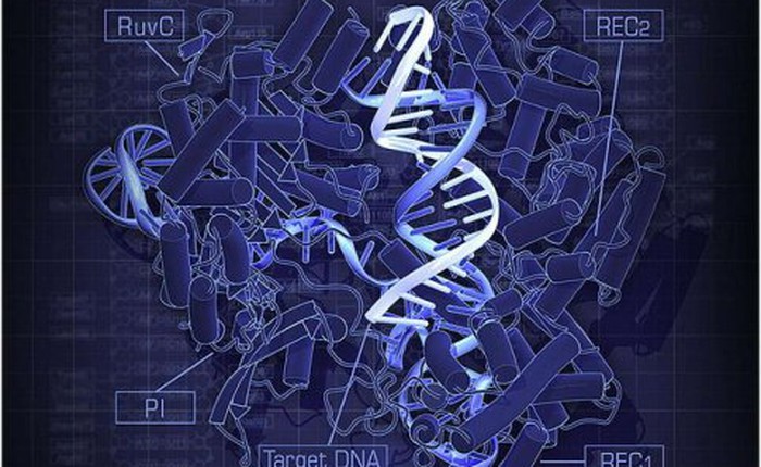 Trung Quốc gây chấn động khi lần đầu tiên chỉnh sửa được bộ gen người