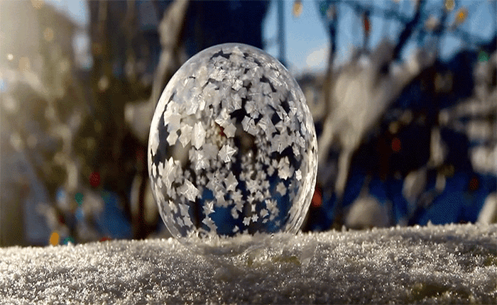 Video: Vẻ đẹp của bong bóng bị đóng băng