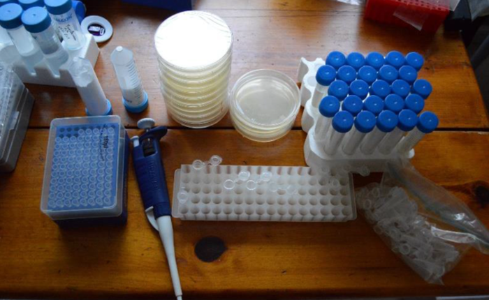 Dự án mới giúp bạn có thể tự chỉnh sửa ADN của chính mình tại nhà