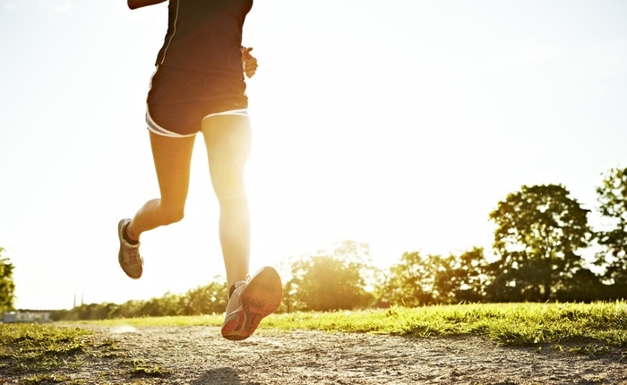 Chạy đường dài có thể khiến bạn bị teo não