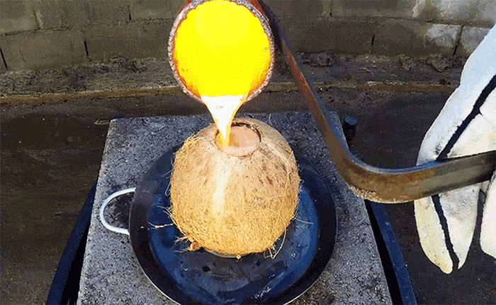 Chuyện gì sẽ xảy ra đổ đồng nóng chảy vào một quả dừa?