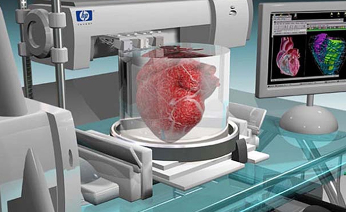 Tái tạo một quả tim người thật bằng công nghệ in 3D