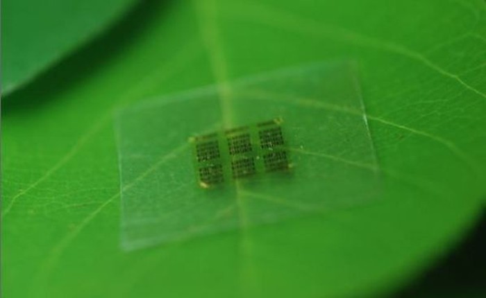 Chip bán dẫn trong tương lai sẽ được làm từ Gỗ