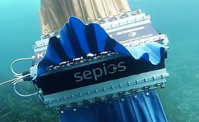 Sepios - Robot biết bơi lặn cực kỳ độc đáo