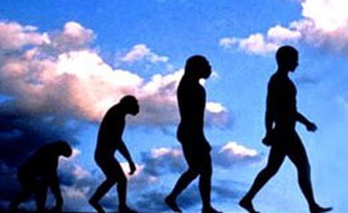 5 đặc điểm tiến hóa giúp con người vượt qua loài vật và thống trị Trái Đất