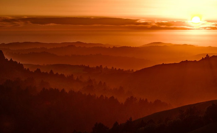 Chụp ảnh bằng iPhone sẽ chuyên nghiệp hơn bao giờ hết với định dạng RAW trên iOS 10