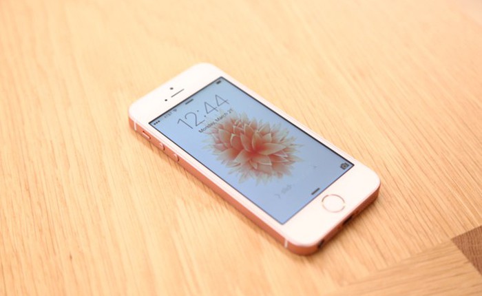 iPhone SE không hề bán chạy tại Trung Quốc, đây mới là sân nhà của mẫu iPhone 4 inch