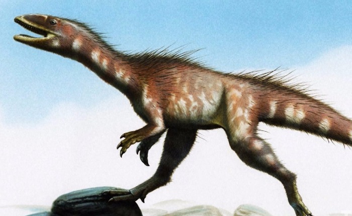 [Video] Các nhà khoa học vừa tìm ra một loài khủng long mới