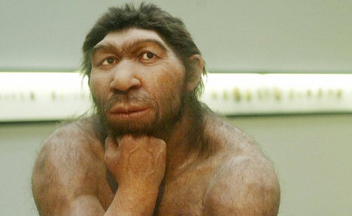 Người cổ đại Neanderthal đã xây dựng thứ gì đó trong hang mà các nhà khoa học chưa thể giải thích nổi