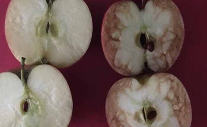 Câu chuyện 2 trái táo và bài học về sự tổn thương