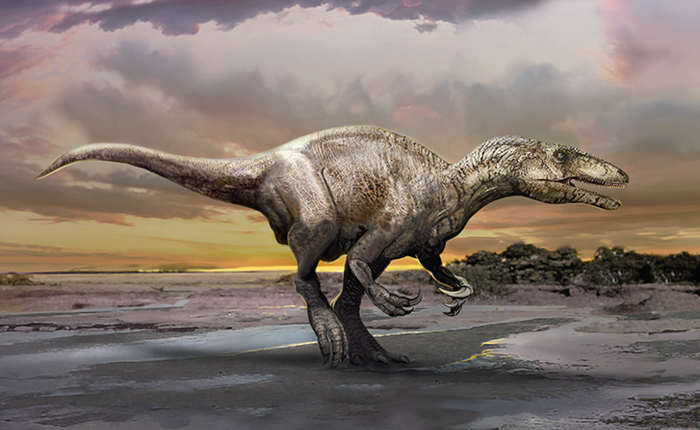 Phát hiện loài khủng long ăn thịt khổng lồ mới, làm đau đầu các nhà khảo cổ