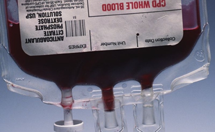 Các nhà khoa học phát triển máu nhân tạo dạng bột, pha như pha sữa