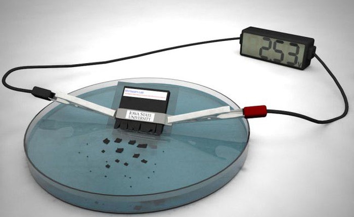 Pin tự hủy, tan khi gặp nước trong vòng 30 phút