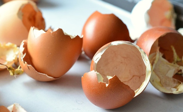 Hãy ngừng việc ném vỏ trứng đi vì bạn sẽ "choáng" trước tác dụng thần kì của chúng