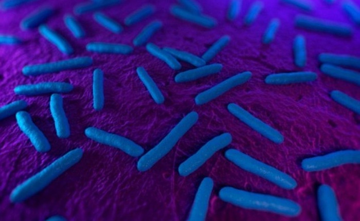 Cơn ác mộng của loài người đã đến: vi khuẩn kháng tất cả các loại thuốc được phát hiện tại Mỹ