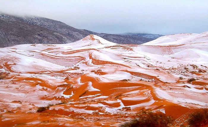 Lần thứ 2 trong lịch sử, tuyết rơi ở sa mạc Sahara