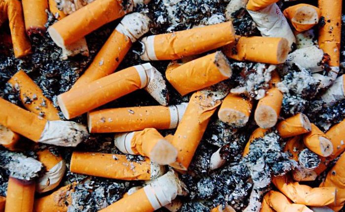 Cách giải quyết hàng nghìn tỷ đầu lọc thuốc lá không ai nghĩ đến của các nhà khoa học Úc