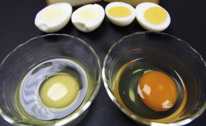 Thịt, cá, trứng, sữa, làm thế nào để chọn được nguồn protein lành mạnh?