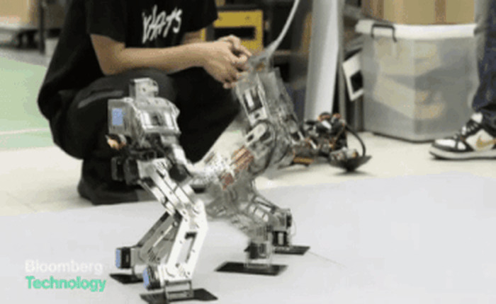 Xem giải vô địch thế giới bộ môn Robot đấm nhau