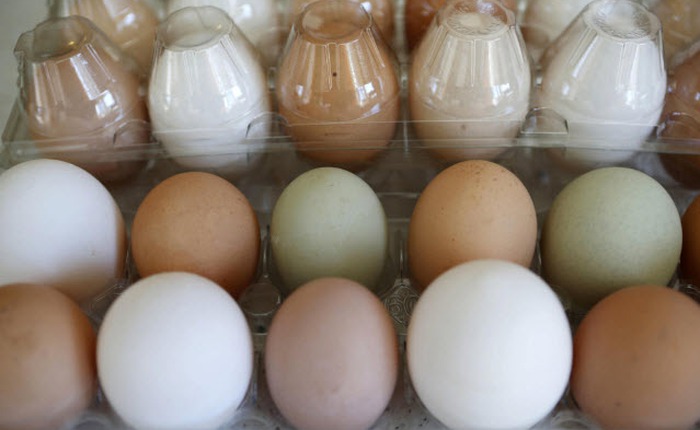 Ở xứ sở này, 150 USD chỉ mua nổi 12 quả trứng