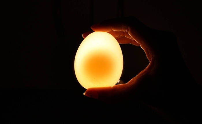 Cách đơn giản biến quả trứng thành quả bóng trong suốt, nảy như bóng bàn