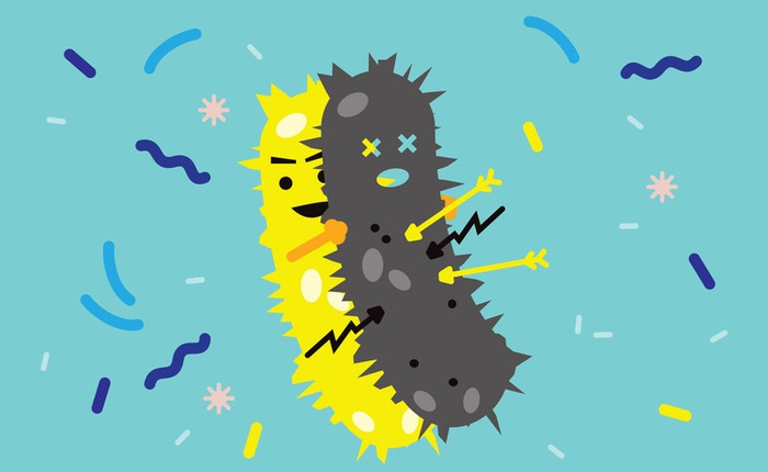 Giải ngố: Vi khuẩn đã học được cách chống lại kháng sinh như thế nào?