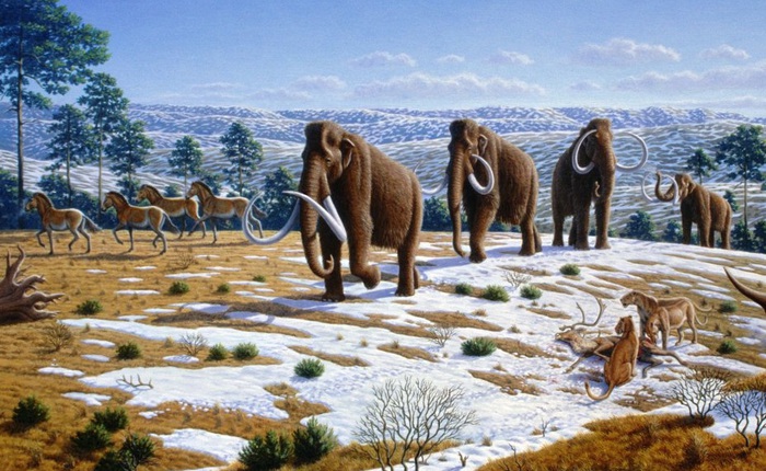Nga nuôi ý định xây dựng công viên dành cho thời đại voi ma mút