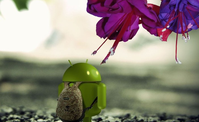 Những vấn đề ngày một nặng nề của Android và giải pháp của Google