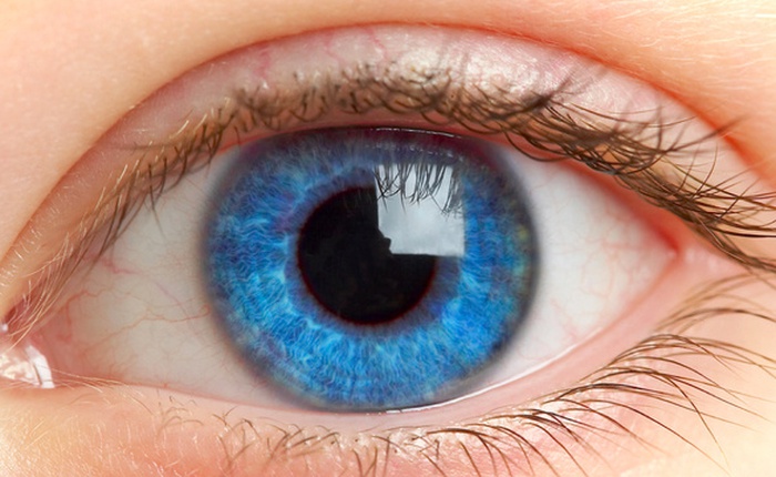 Lần đầu tiên cấy ghép thành công tế bào da vào mô mắt giúp cải thiện thị lực